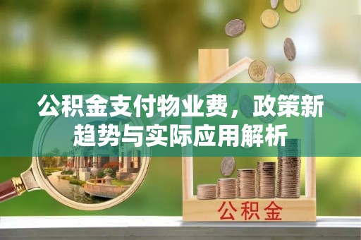 魏都公积金支付物业费，政策新趋势与实际应用解析