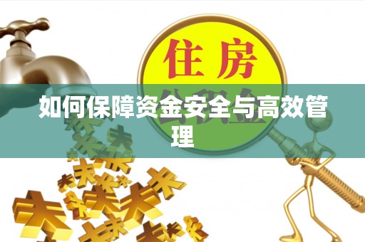 魏都如何保障资金安全与高效管理