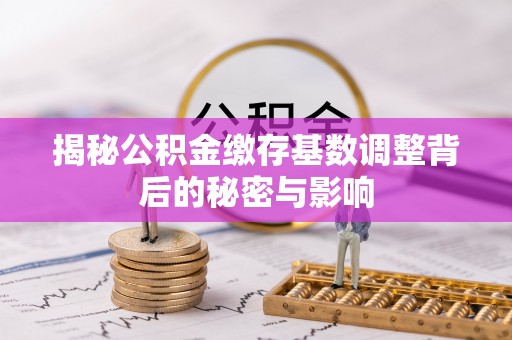 魏都揭秘公积金缴存基数调整背后的秘密与影响