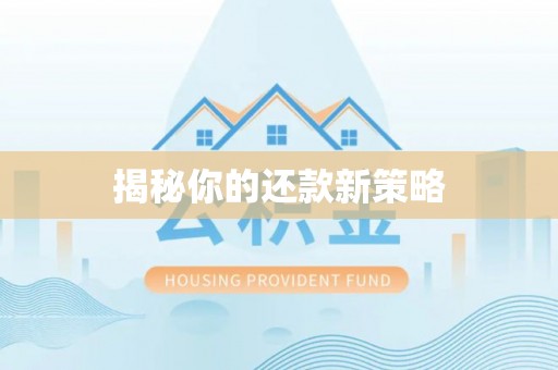 魏都揭秘你的还款新策略