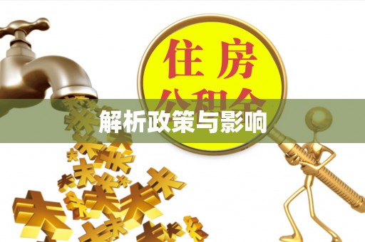 魏都解析政策与影响