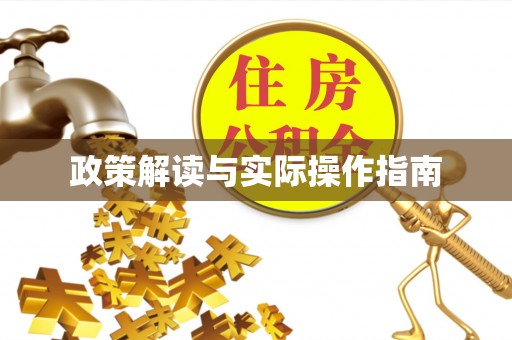 魏都政策解读与实际操作指南
