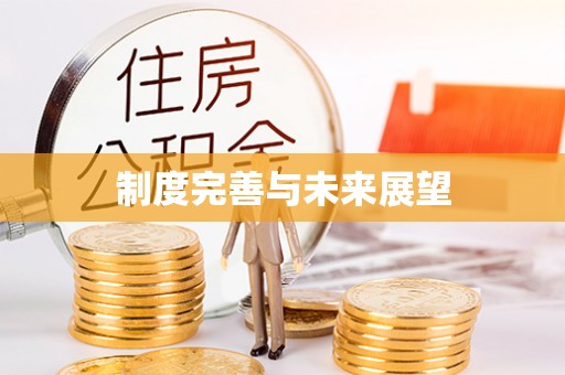 魏都制度完善与未来展望