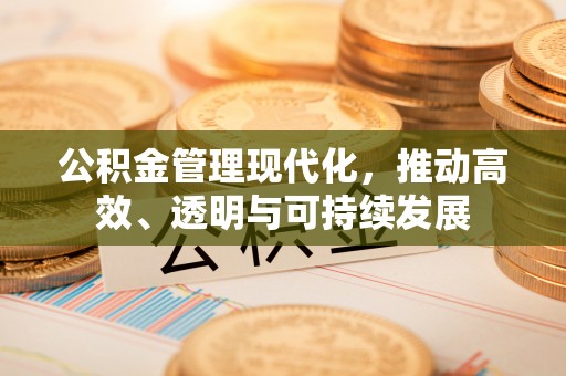 魏都公积金管理现代化，推动高效、透明与可持续发展