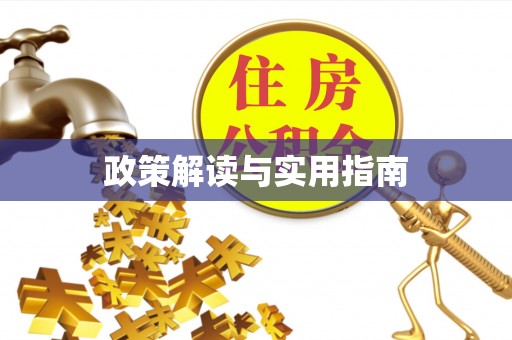 魏都政策解读与实用指南