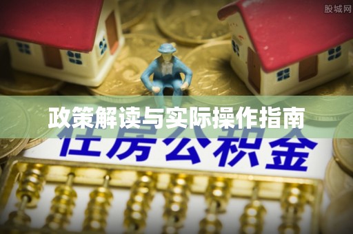 魏都政策解读与实际操作指南