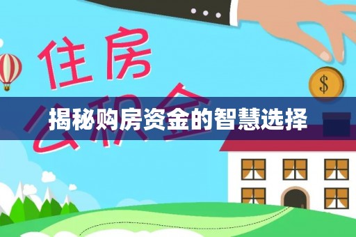 魏都揭秘购房资金的智慧选择