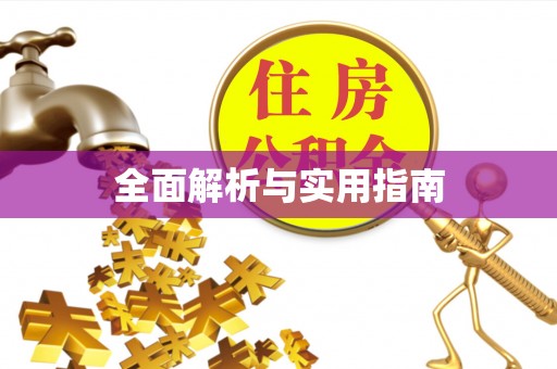 魏都全面解析与实用指南