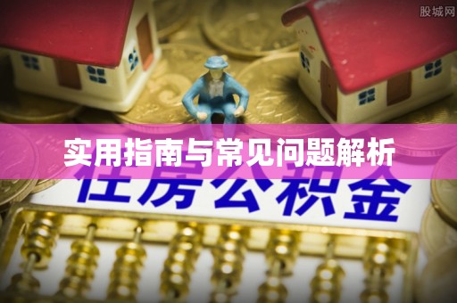 魏都实用指南与常见问题解析