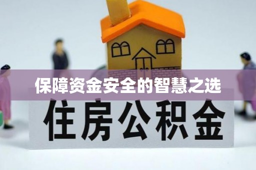 魏都保障资金安全的智慧之选