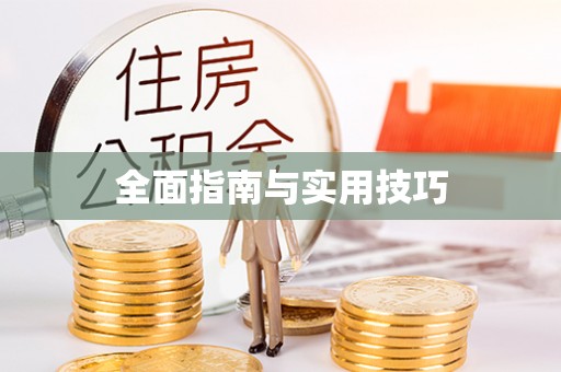 魏都全面指南与实用技巧