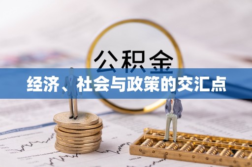 魏都经济、社会与政策的交汇点