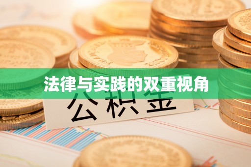 魏都法律与实践的双重视角