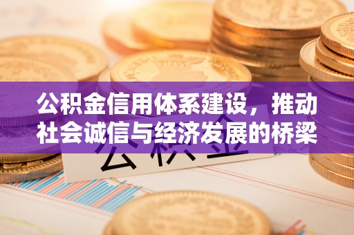 魏都公积金信用体系建设，推动社会诚信与经济发展的桥梁