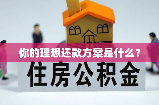 魏都你的理想还款方案是什么？