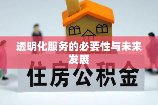 魏都透明化服务的必要性与未来发展