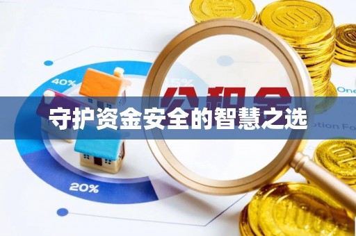 魏都守护资金安全的智慧之选