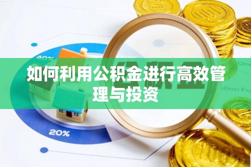 魏都如何利用公积金进行高效管理与投资