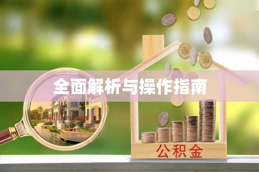 魏都全面解析与操作指南