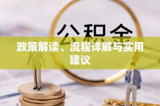 魏都政策解读、流程详解与实用建议