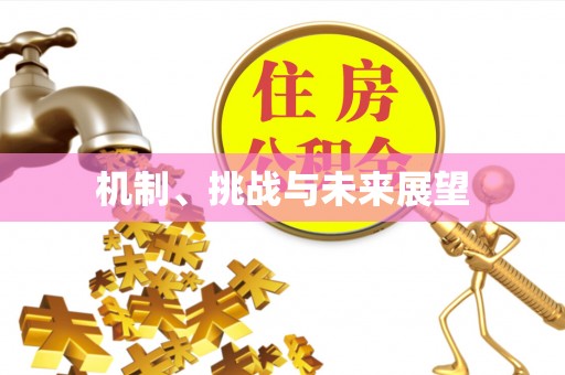 魏都机制、挑战与未来展望