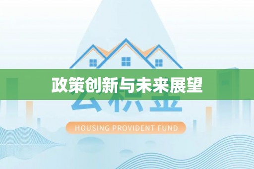 魏都政策创新与未来展望